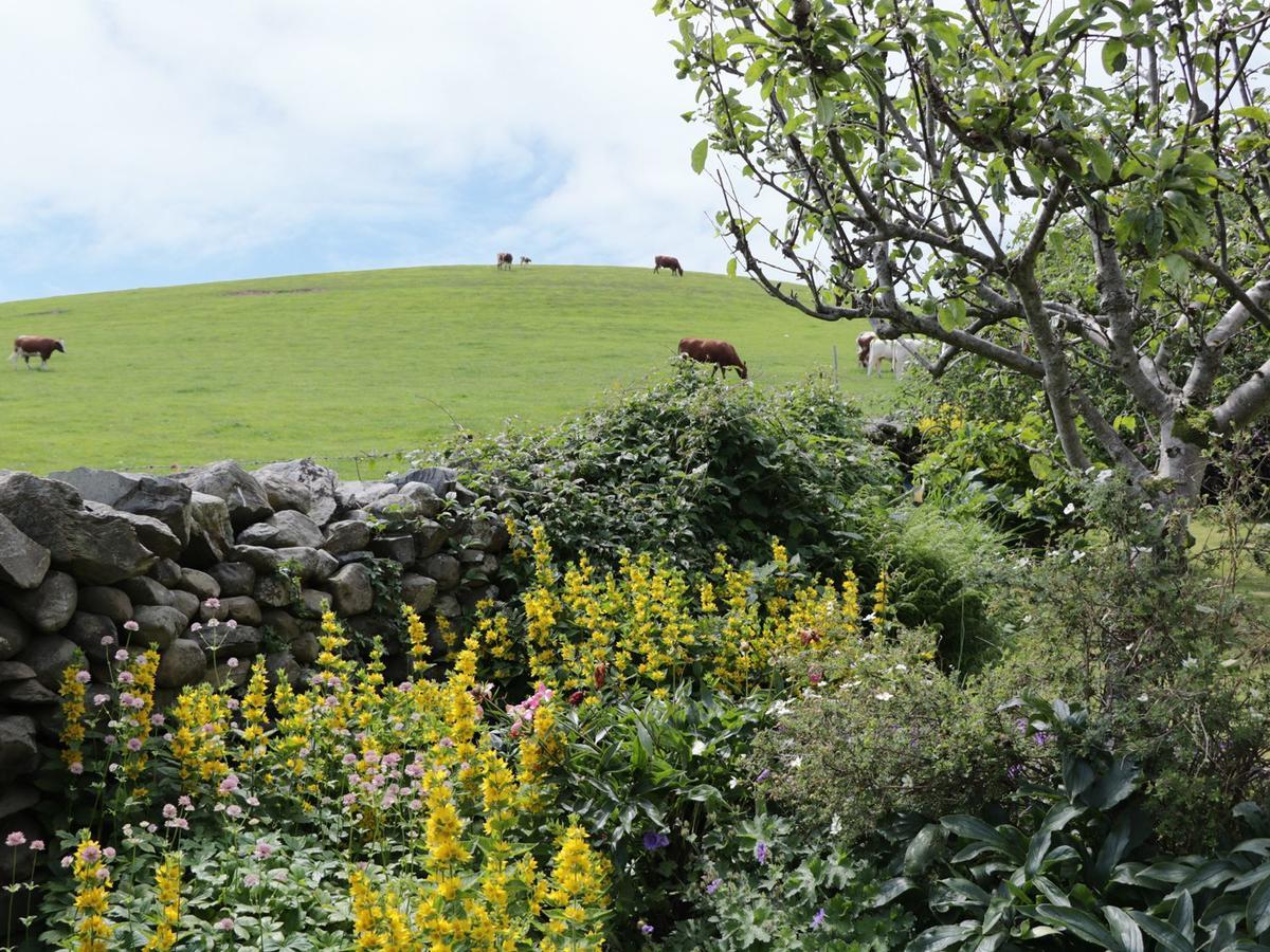 Waingate Cottage Cark Dış mekan fotoğraf